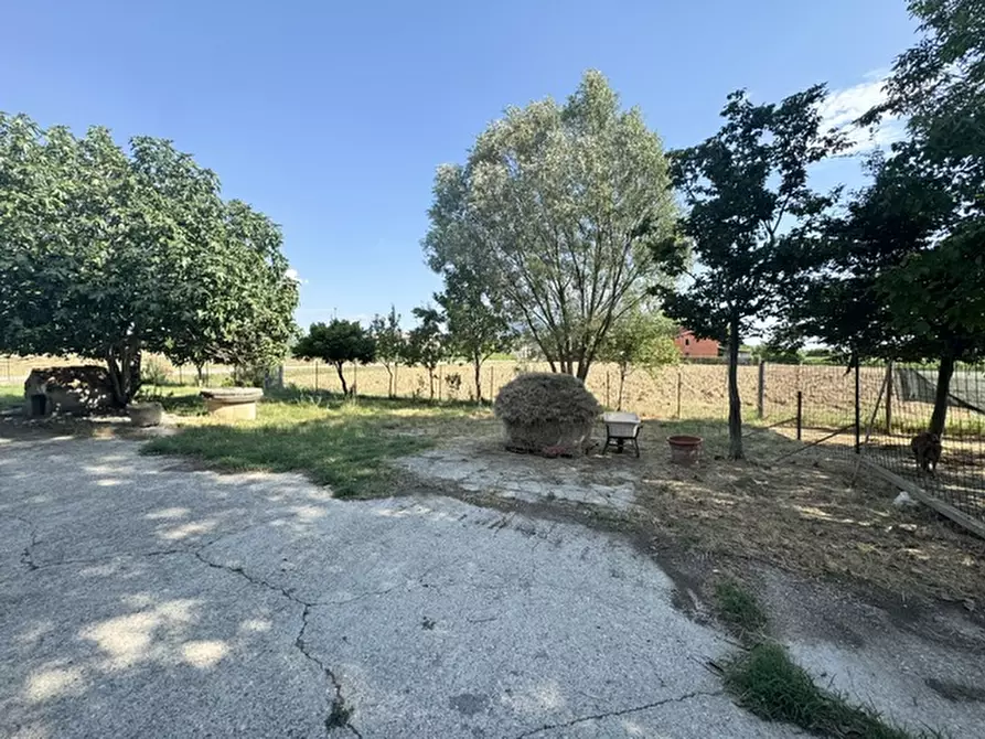 Immagine 16 di Rustico / casale in vendita  a Rovolon