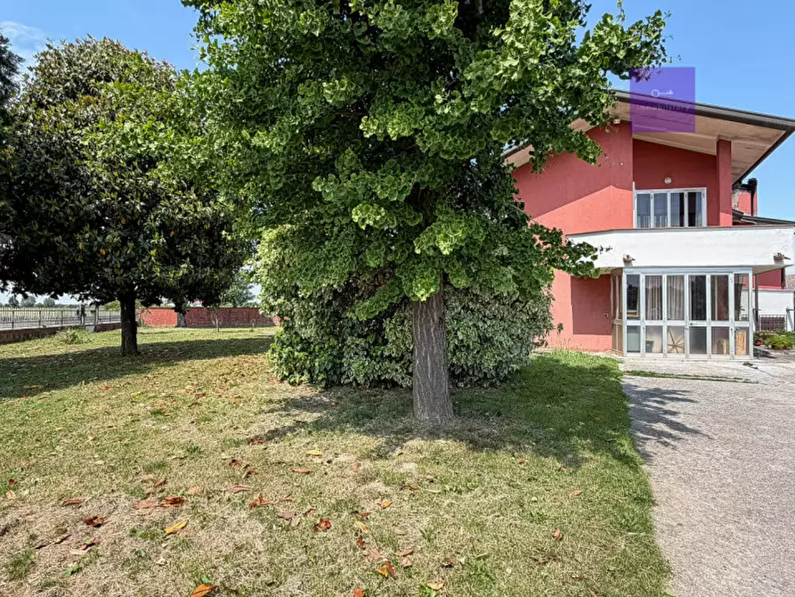 Immagine 2 di Villa in vendita  a Granze
