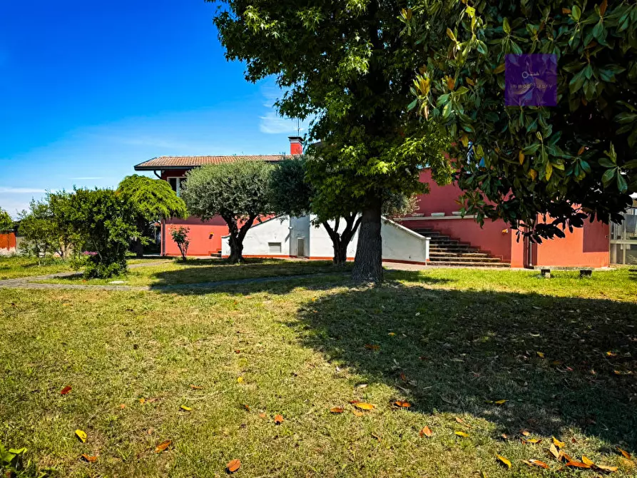 Immagine 3 di Villa in vendita  a Granze