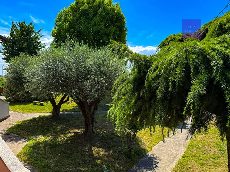 Immagine 7 di Villa in vendita  a Granze