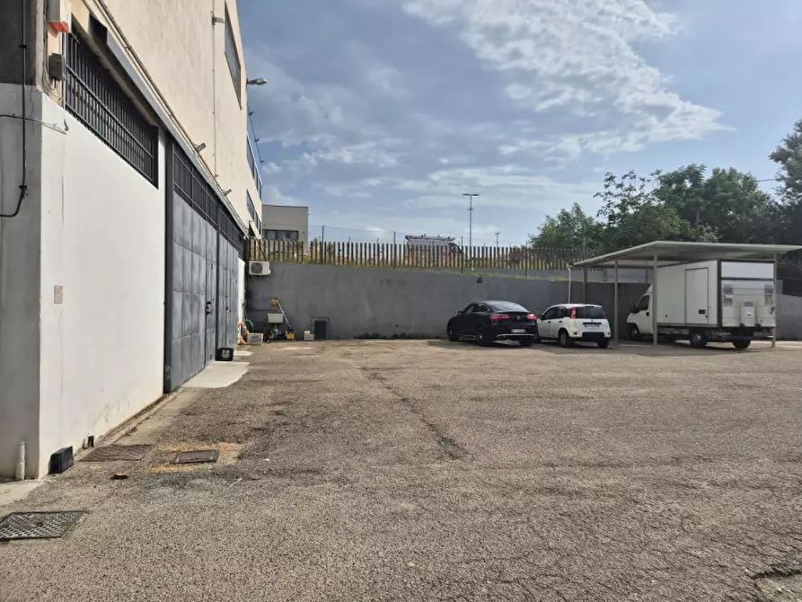 Immagine 5 di Capannone industriale in vendita  in Via Ofanto a Spoltore