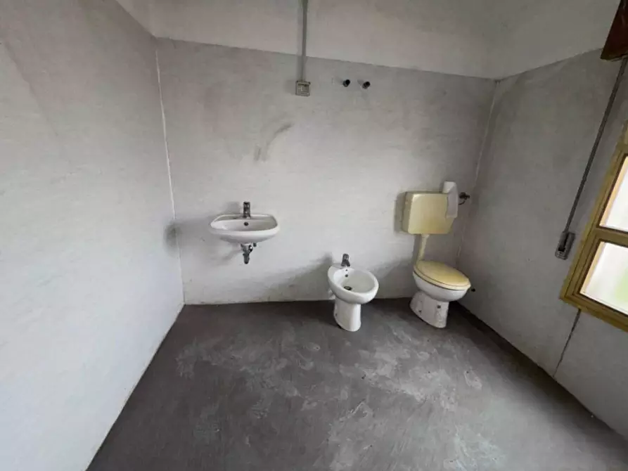 Immagine 5 di Casa indipendente in vendita  in Corso del Popolo a Ariano Nel Polesine