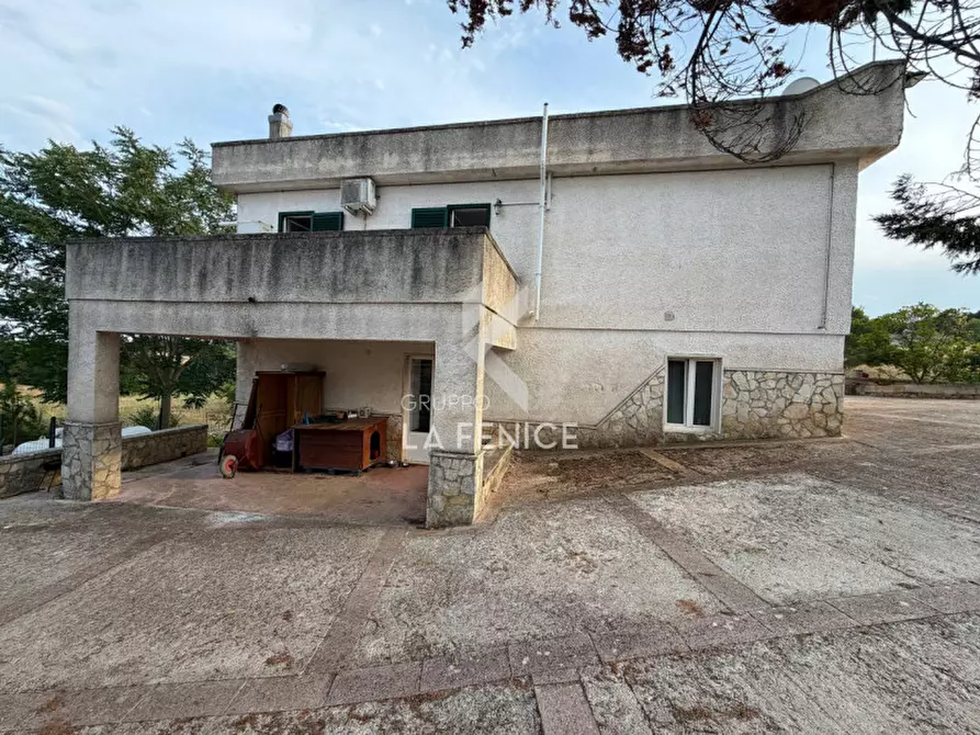 Immagine 9 di Villa in vendita  in strada porcile a Martina Franca