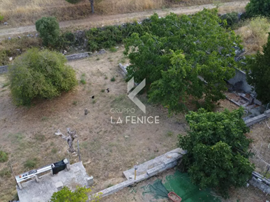 Immagine 44 di Villa in vendita  in strada porcile a Martina Franca