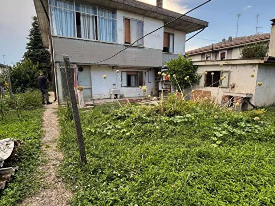 Immagine 14 di Casa indipendente in vendita  a Trecenta