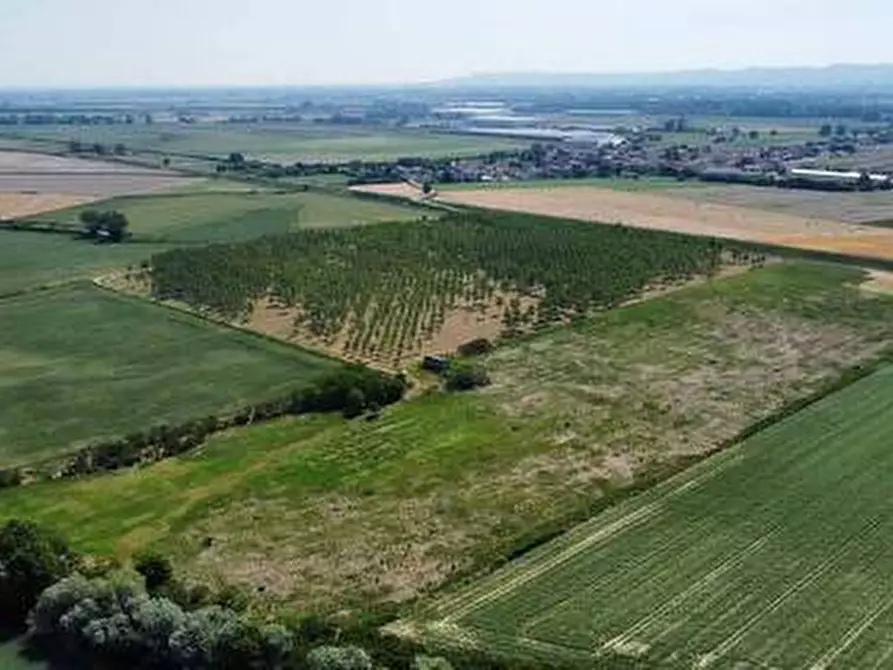 Immagine 4 di Terreno in vendita  in Via Pontaron a Caldogno