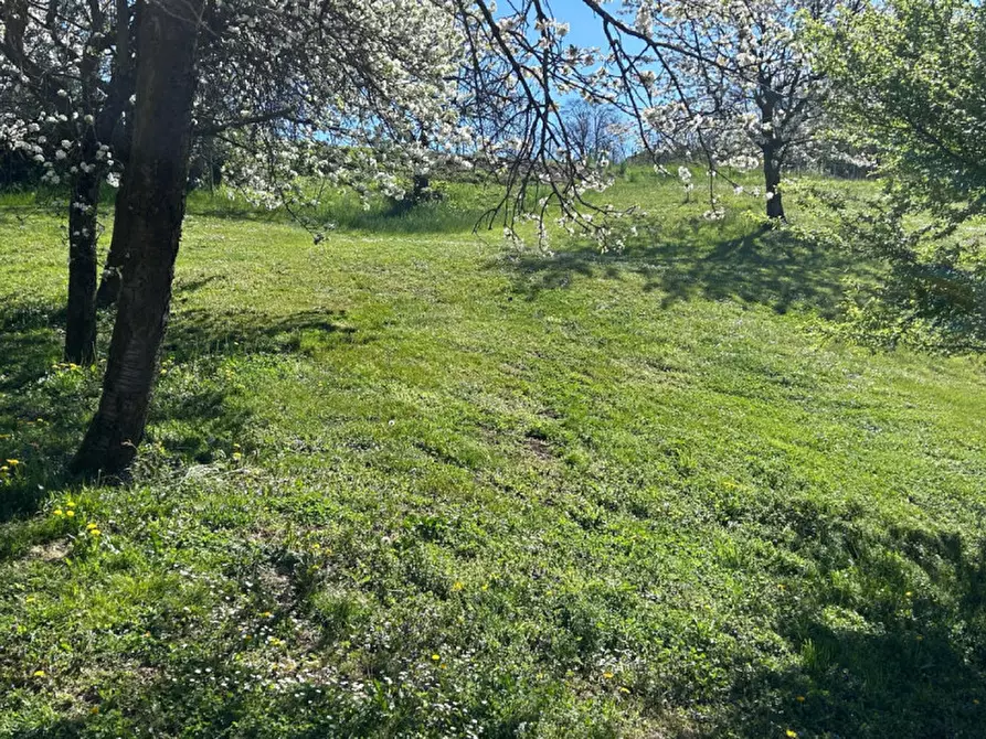 Immagine 5 di Terreno in vendita  in Via Pontaron a Caldogno