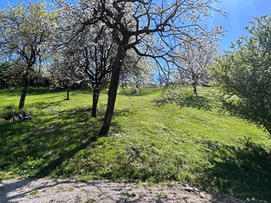 Immagine 8 di Terreno in vendita  in Via Pontaron a Caldogno