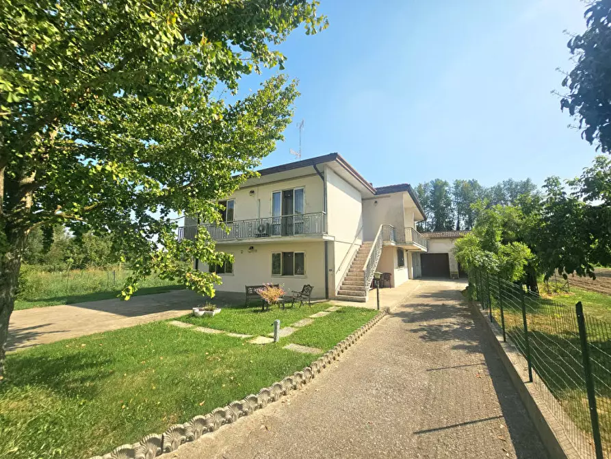 Immagine 6 di Casa indipendente in vendita  in VIA ESTE a Masi