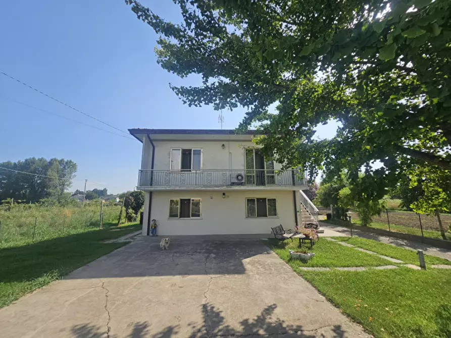 Immagine 12 di Casa indipendente in vendita  in VIA ESTE a Masi