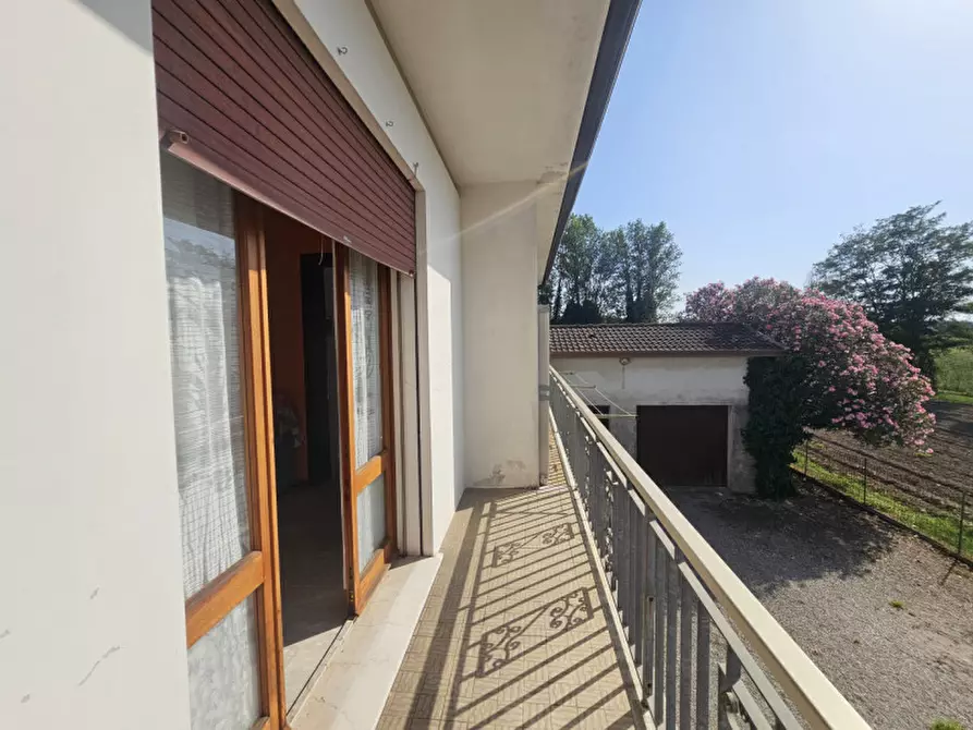 Immagine 23 di Casa indipendente in vendita  in VIA ESTE a Masi