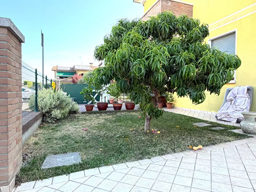 Immagine 9 di Appartamento in affitto  in Via Giovanni Pascoli a Arzergrande