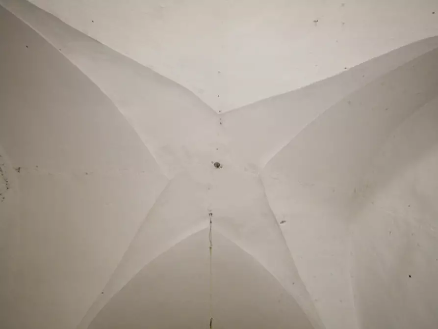 Immagine 13 di Casa indipendente in vendita  in Via Immacolata a Matino