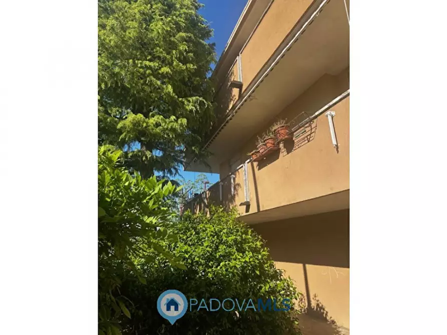 Immagine 2 di Appartamento in vendita  in via emilia, 36 a Rubano