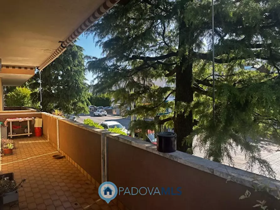 Immagine 24 di Appartamento in vendita  in via emilia, 36 a Rubano