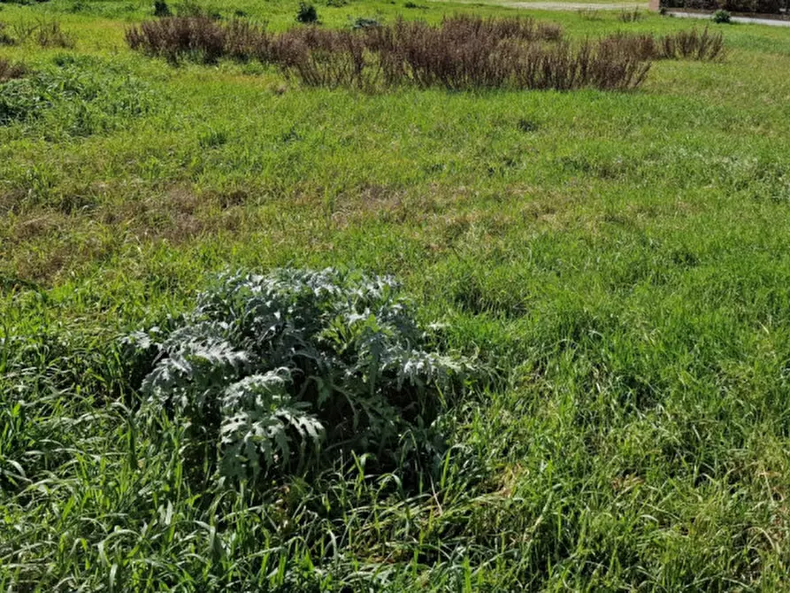 Immagine 1 di Terreno in vendita  in Via Radichiara a Cesenatico