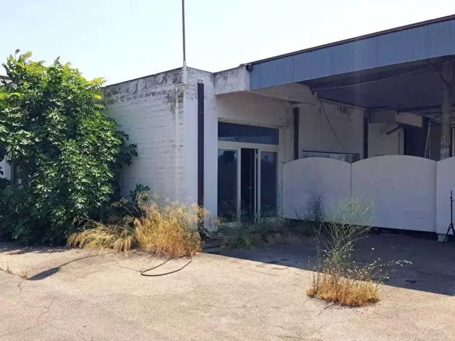 Immagine 5 di Capannone industriale in vendita  in Via R. Sanzio, 01016 Tarquinia VT, Italia a Tarquinia