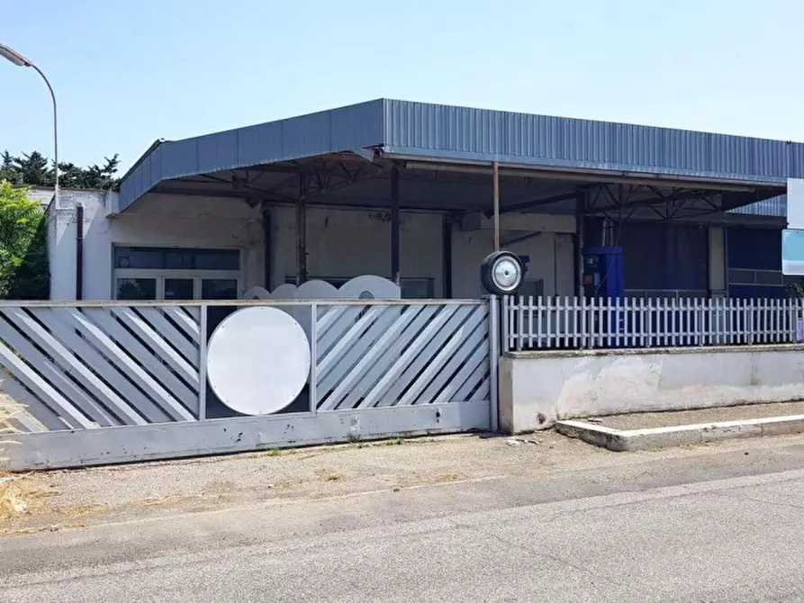 Immagine 21 di Capannone industriale in vendita  in Via R. Sanzio, 01016 Tarquinia VT, Italia a Tarquinia