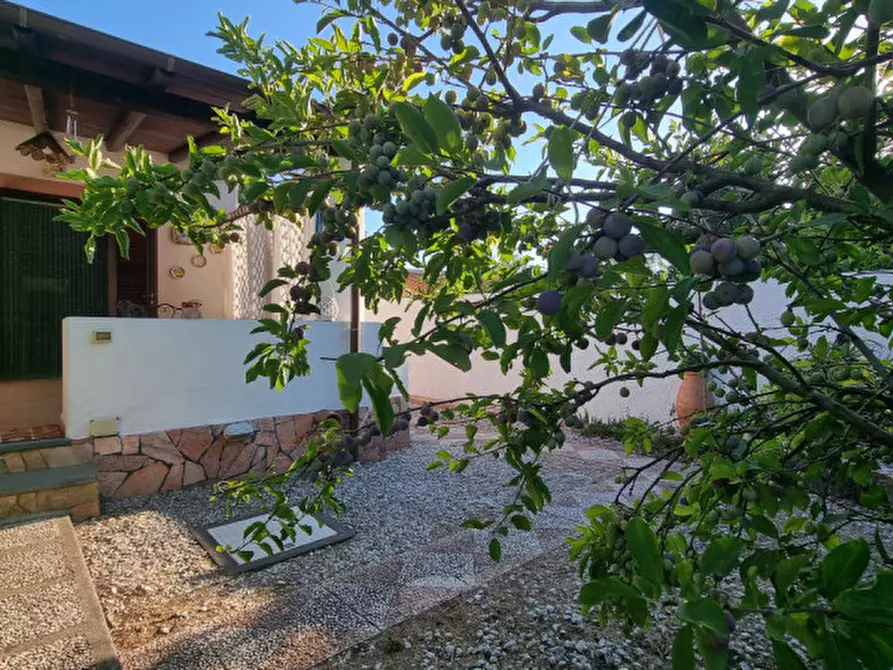 Immagine 2 di Villetta a schiera in vendita  in Strada com.le minichedda a Lipari