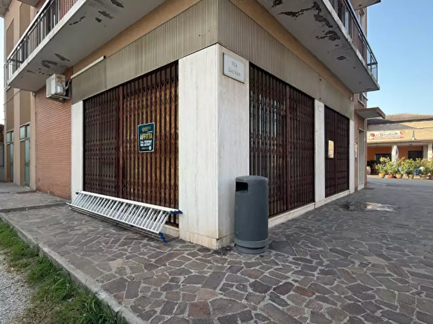 Immagine 2 di Negozio in affitto  a Piacenza D'adige