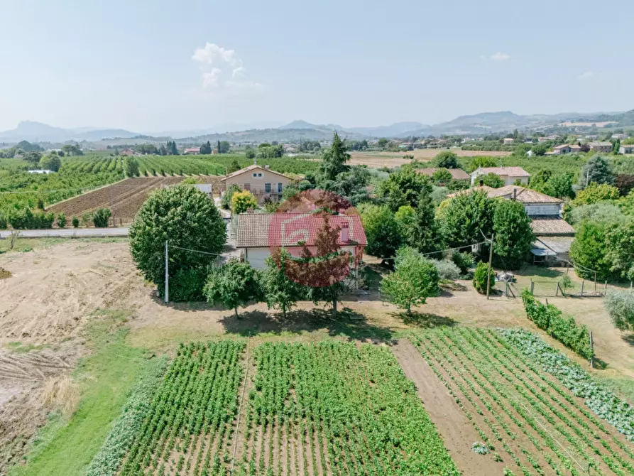 Immagine 3 di Villa in vendita  a Santarcangelo Di Romagna