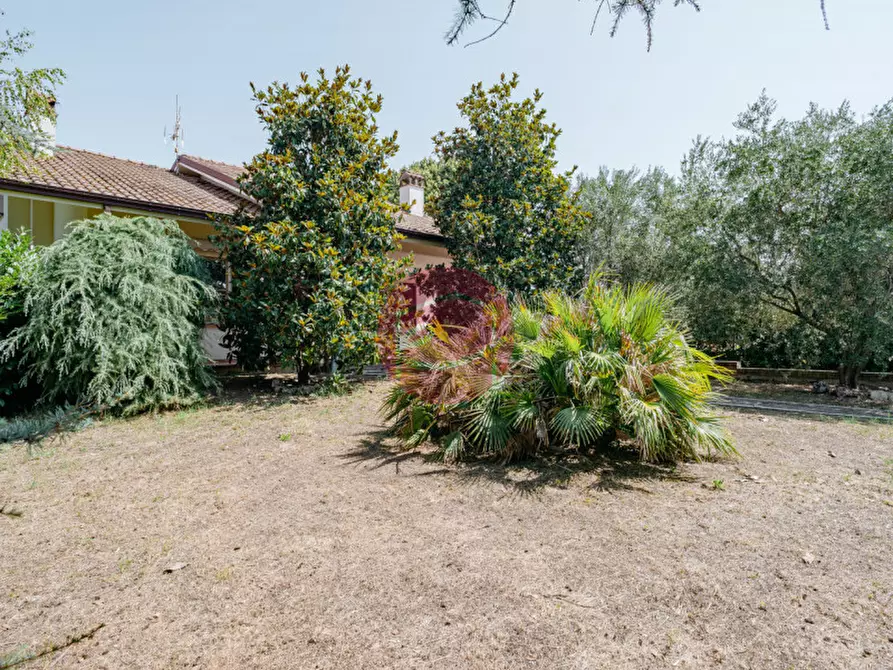 Immagine 8 di Villa in vendita  a Santarcangelo Di Romagna
