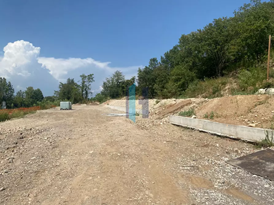 Immagine 3 di Terreno in vendita  a Pozzolengo