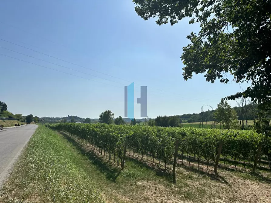 Immagine 6 di Terreno in vendita  a Pozzolengo