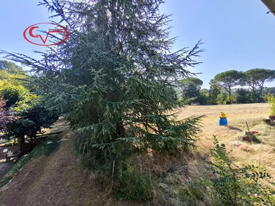 Immagine 20 di Rustico / casale in vendita  in via delle caselle a San Giovanni Valdarno