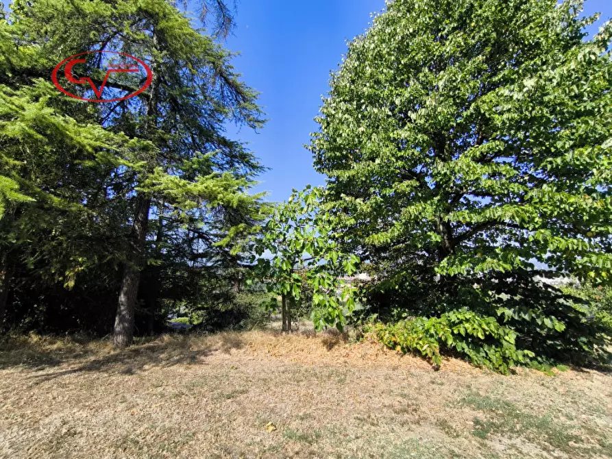 Immagine 32 di Rustico / casale in vendita  in via delle caselle a San Giovanni Valdarno