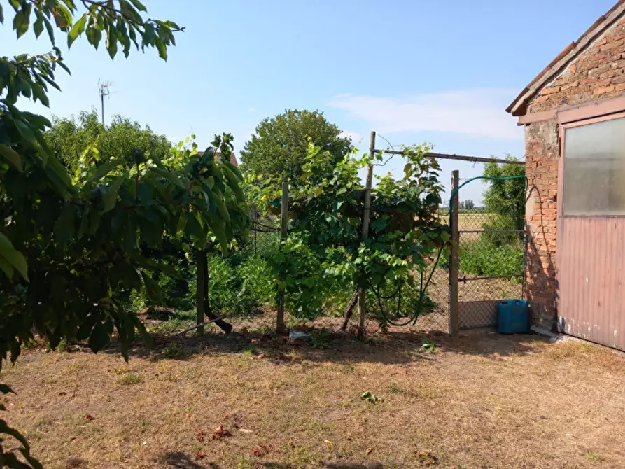 Immagine 8 di Casa bifamiliare in vendita  a Lusia