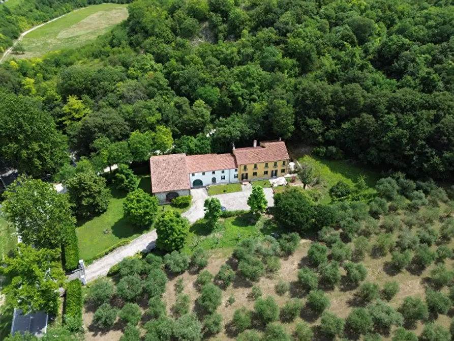 Immagine 4 di Rustico / casale in vendita  in Via Banze a Baone