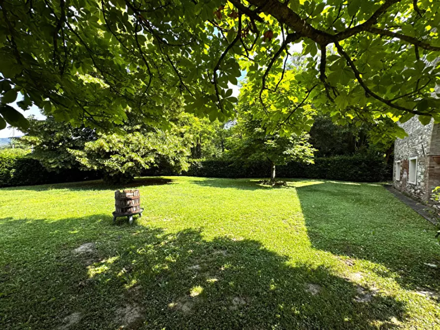 Immagine 25 di Rustico / casale in vendita  in Via Banze a Baone