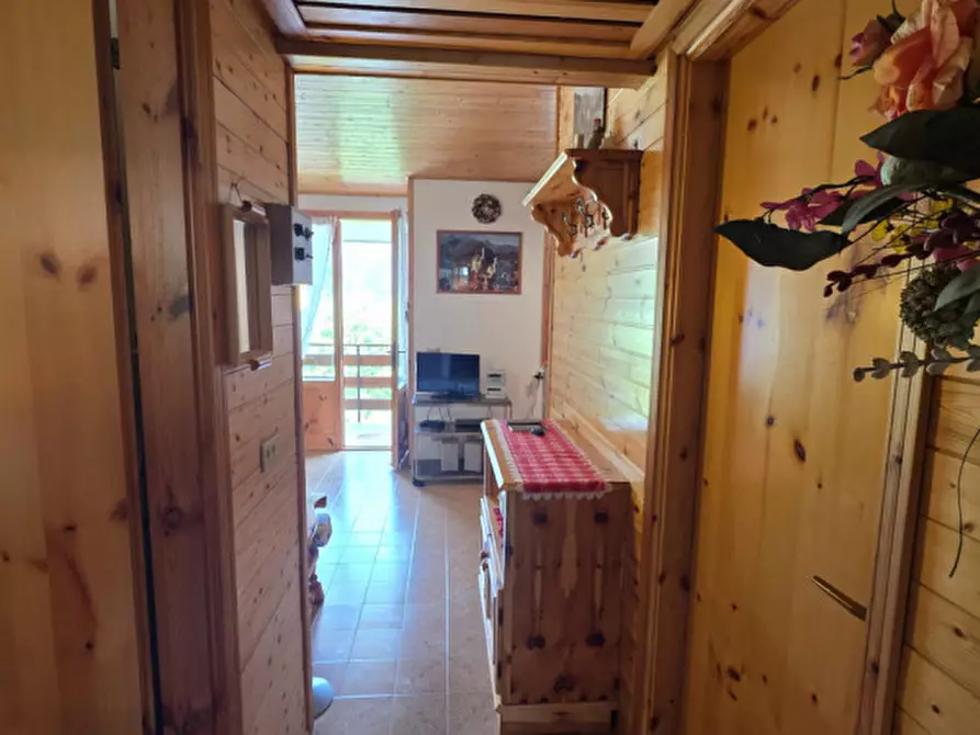 Immagine 13 di Appartamento in vendita  in Località Ciolos 8 a Forni Avoltri
