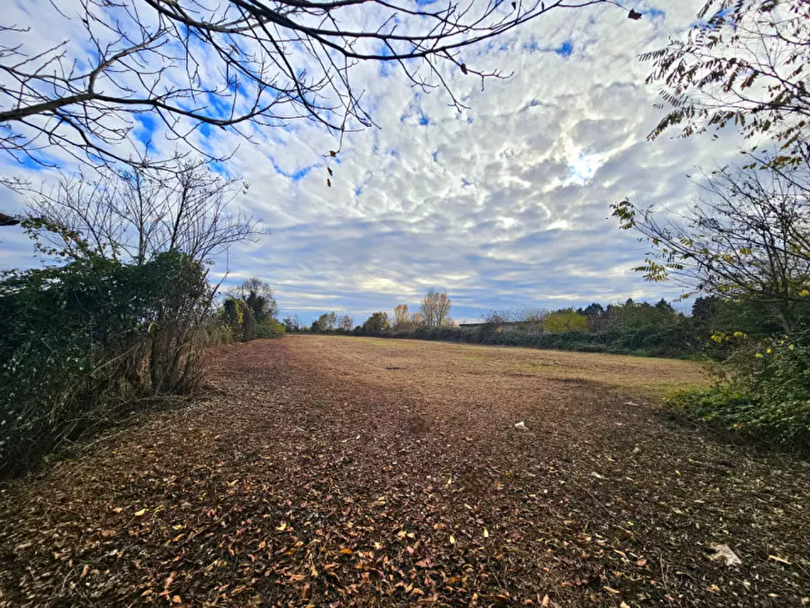 Immagine 6 di Terreno in vendita  in VIA CERESARA a Solesino