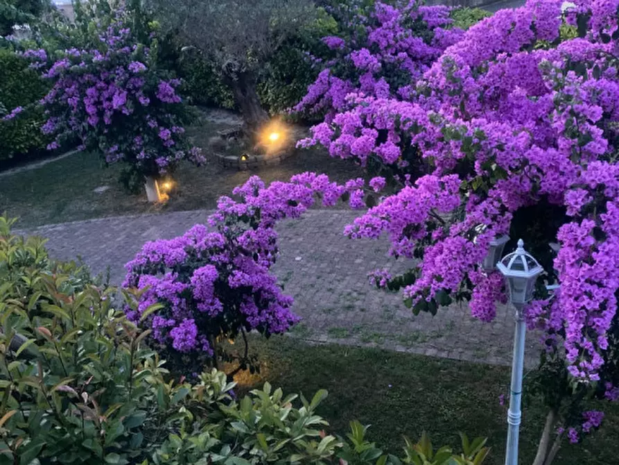 Immagine 18 di Casa bifamiliare in vendita  in Via dei Pesci a Latisana