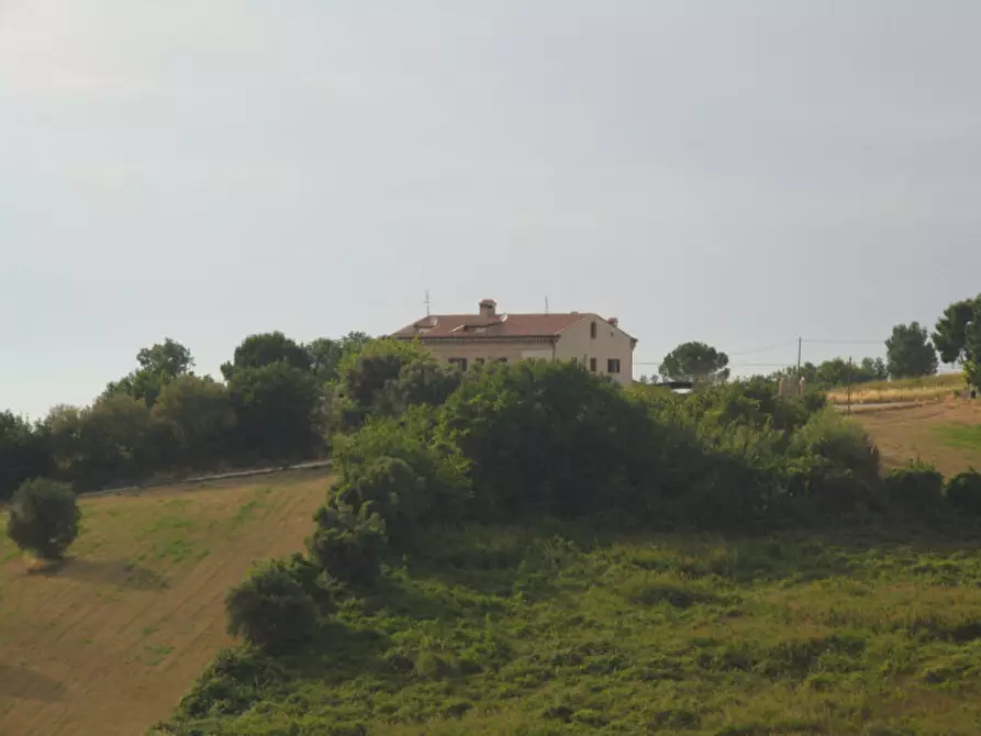 Immagine 42 di Casa bifamiliare in vendita  in Strada del Castellano 76 a Ancona