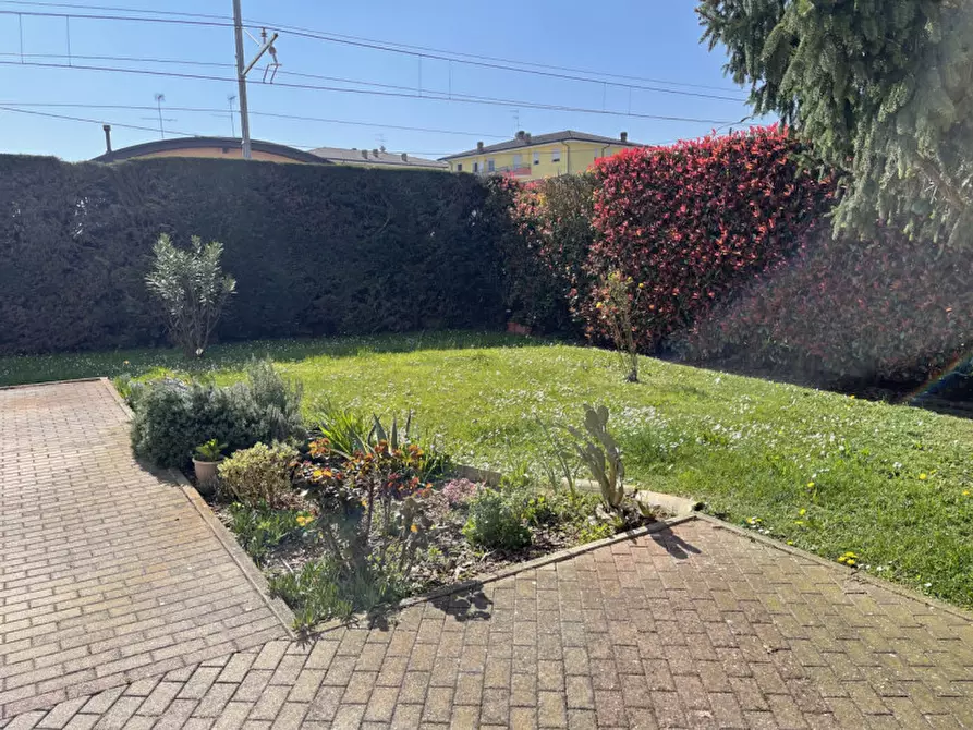 Immagine 30 di Appartamento in vendita  a Suzzara