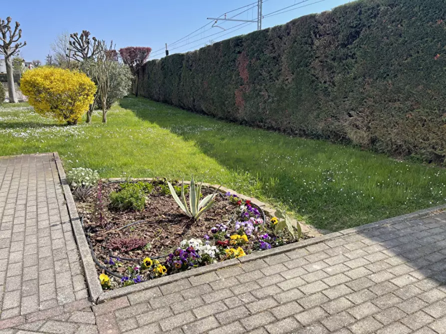 Immagine 31 di Appartamento in vendita  a Suzzara