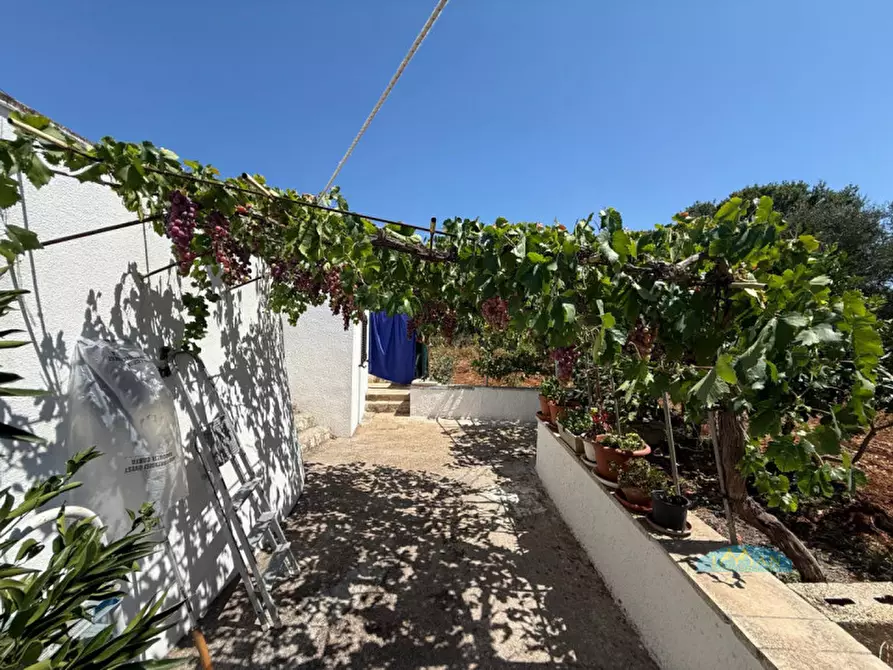 Immagine 21 di Villa in vendita  in Contrada Angelo di Maglie a Ceglie Messapico