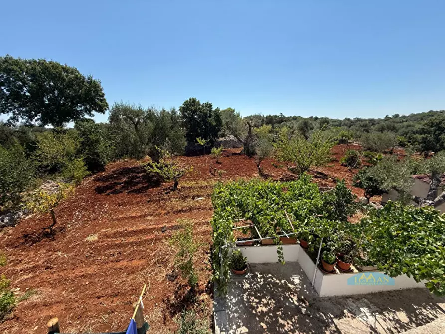 Immagine 25 di Villa in vendita  in Contrada Angelo di Maglie a Ceglie Messapico