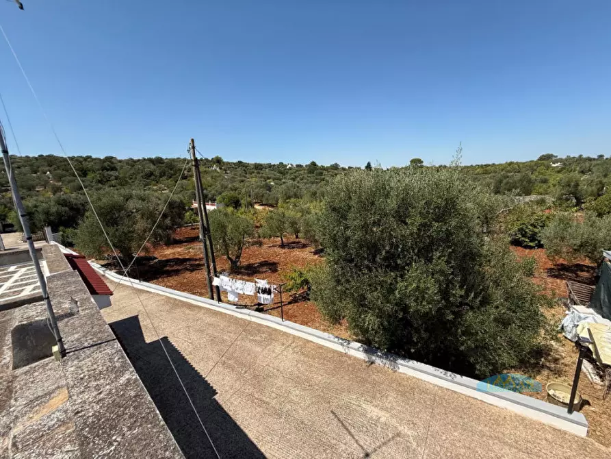 Immagine 26 di Villa in vendita  in Contrada Angelo di Maglie a Ceglie Messapico