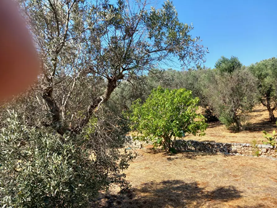 Immagine 31 di Villa in vendita  in C.da Foragno a Ostuni