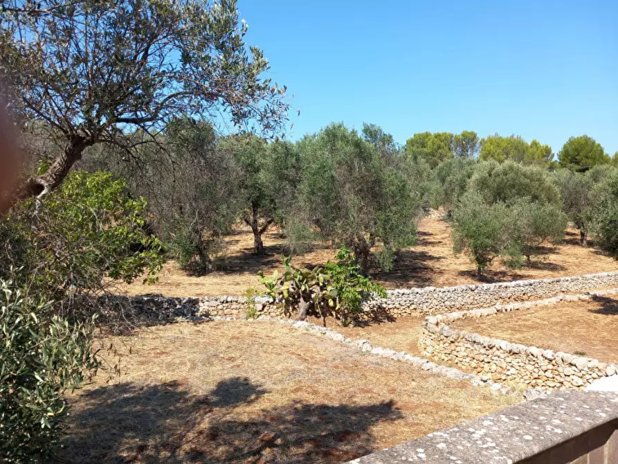 Immagine 32 di Villa in vendita  in C.da Foragno a Ostuni