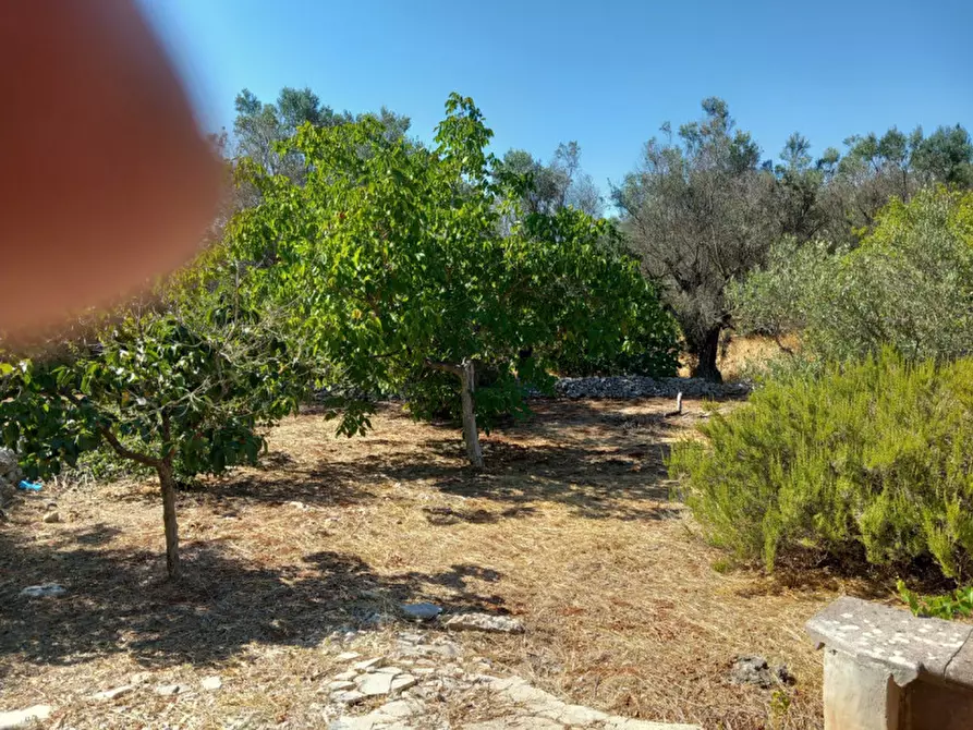 Immagine 33 di Villa in vendita  in C.da Foragno a Ostuni