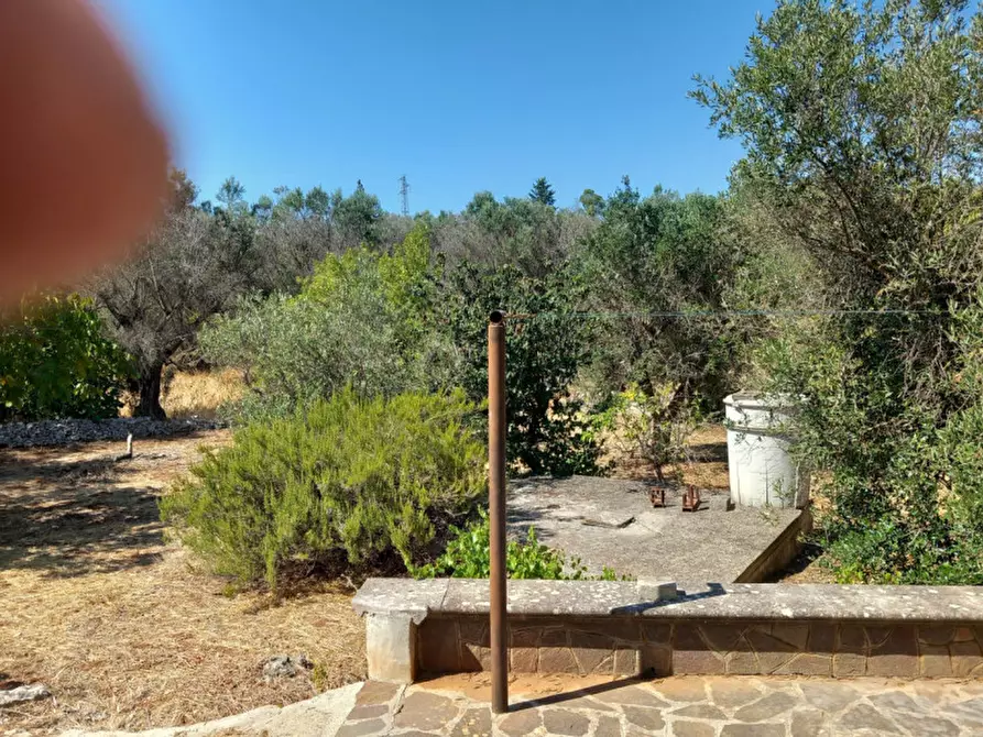 Immagine 34 di Villa in vendita  in C.da Foragno a Ostuni