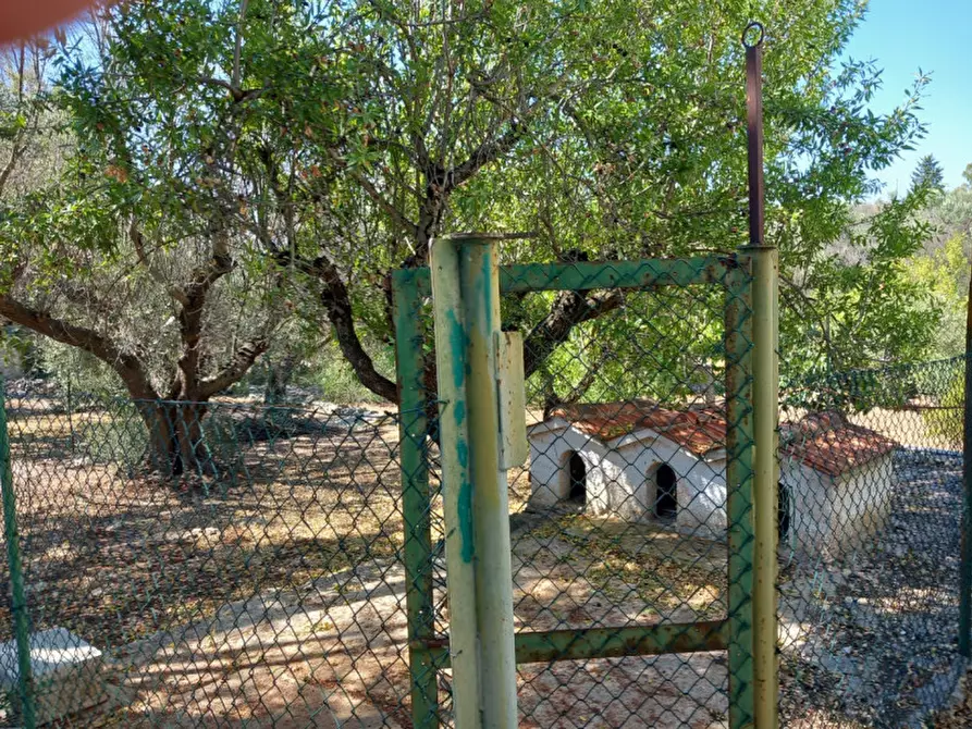 Immagine 36 di Villa in vendita  in C.da Foragno a Ostuni