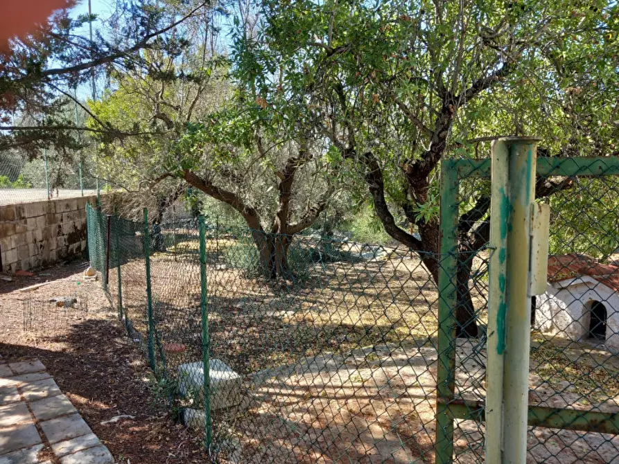 Immagine 37 di Villa in vendita  in C.da Foragno a Ostuni