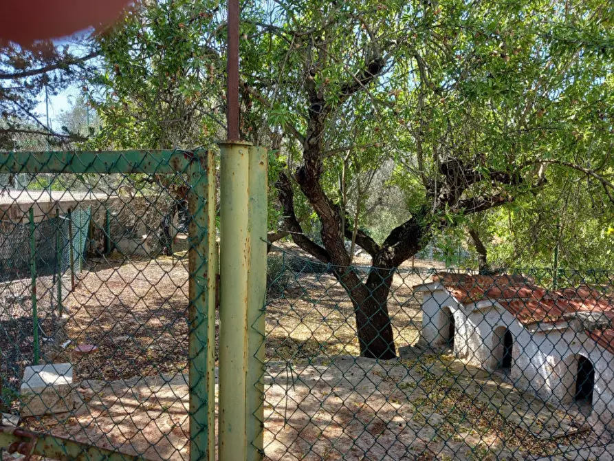 Immagine 38 di Villa in vendita  in C.da Foragno a Ostuni