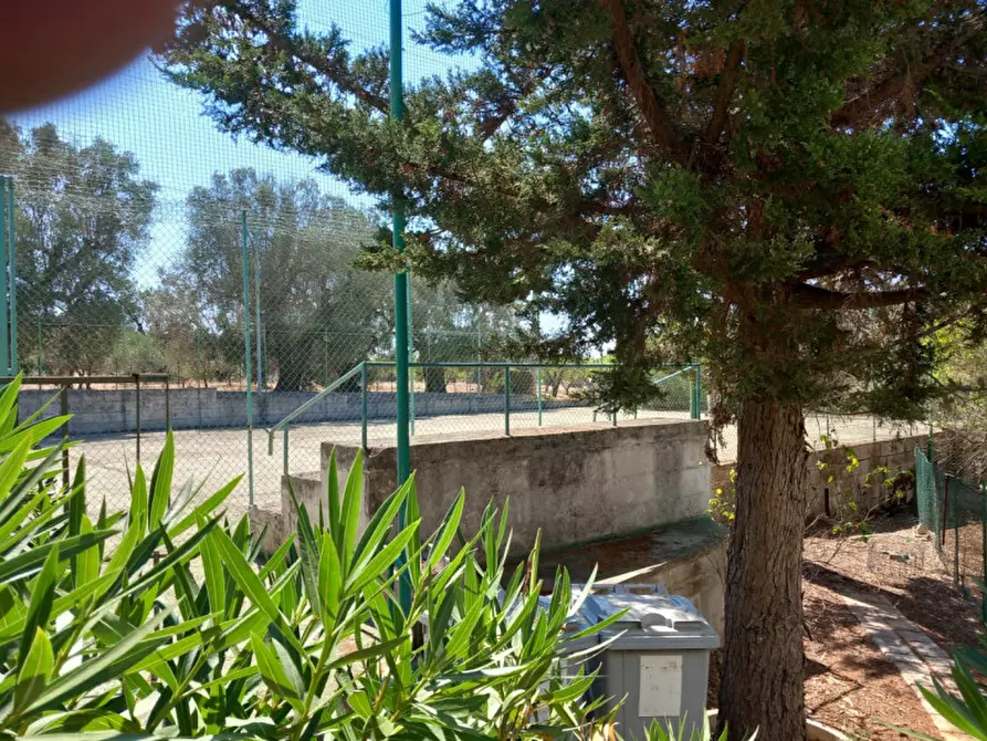 Immagine 39 di Villa in vendita  in C.da Foragno a Ostuni